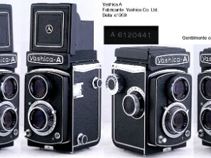 Yashica