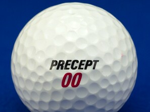 Precept