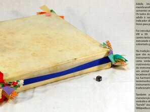 Percussão