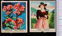 Alpine Flower and Costumes