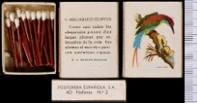Aves Exóticas (FESA) (Caixa)