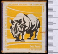Bichos - Série Amarela (SNF-Porto)