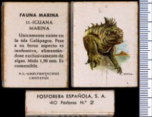 Fauna Marinha (FESA)