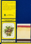 Mamíferos e Aves Portuguesas (FP-Espinho)
