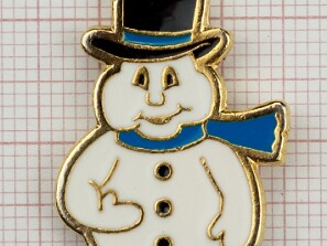 PINS