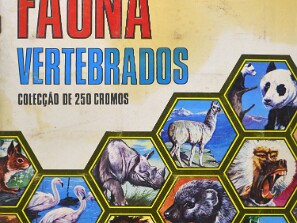 Fauna_-_Vertebrados