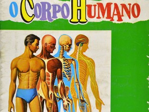 O_Corpo_Humano