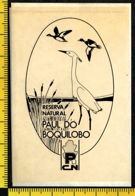 Paul do Boquilobo