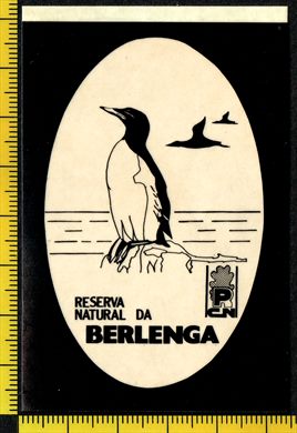 Reserva Natural da Berlenga