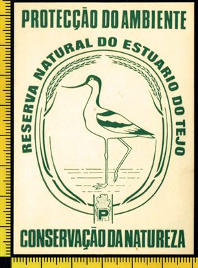 Reserva Natural do Estuario do Tejo