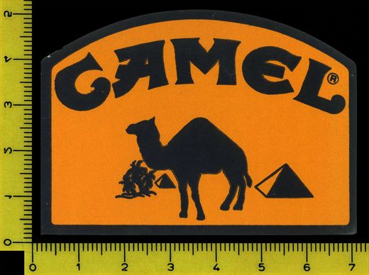 Camel