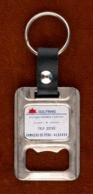 Golfinho