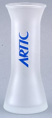 Artic