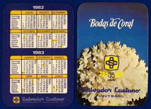 Salvador Caetano 1982-1983