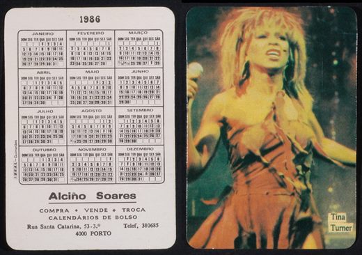 Alcino Soares - Cantantes - Tina Turner 1986