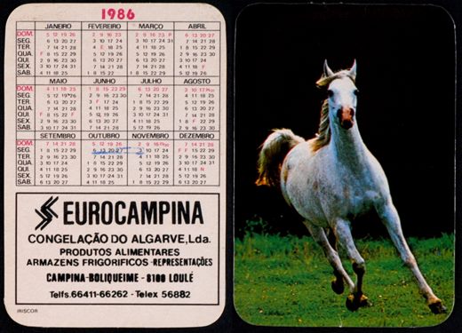 Eurocampina 1986
