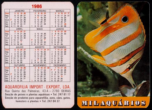 Mil Aquarios 2 1986