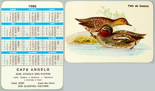 Cafe Angelo - Pato de Inverno 1986