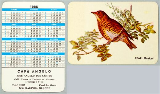 Cafe Angelo - Tordo Musical 1986