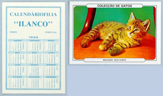 Calendariofilia Ilanco - Coleccao de Gatos 01 1986