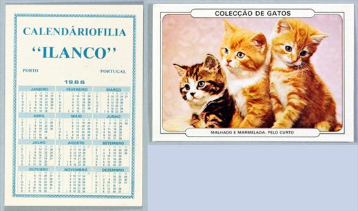 Calendariofilia Ilanco - Coleccao de Gatos 05 1986