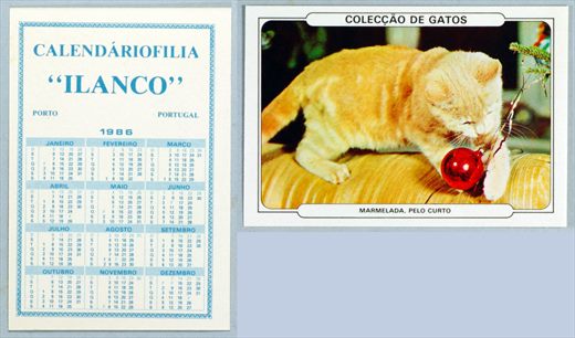 Calendariofilia Ilanco - Coleccao de Gatos 08 1986