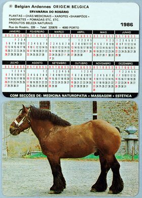 Ervanaria do Rosario - Belgian Ardennes 1986