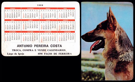 Antonio Pereira Costa 1986