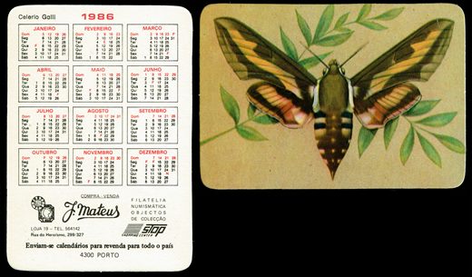 J. Mateus - Borbuletas 06 1986