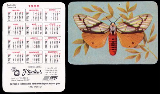 J. Mateus - Borbuletas 12 1986