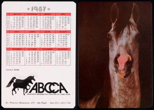 ABCCA - Cavalo Arabe 1987 07