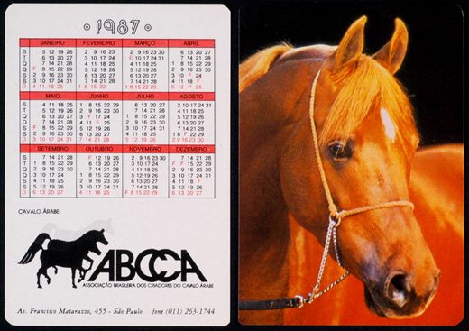 ABCCA - Cavalo Arabe 1987 08