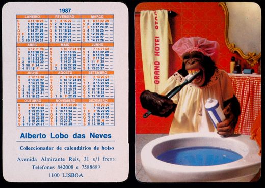 Alberto Lobo das Neves 1987 03