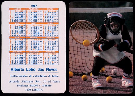 Alberto Lobo das Neves 1987 06
