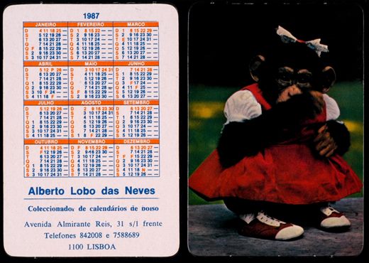 Alberto Lobo das Neves 1987 09