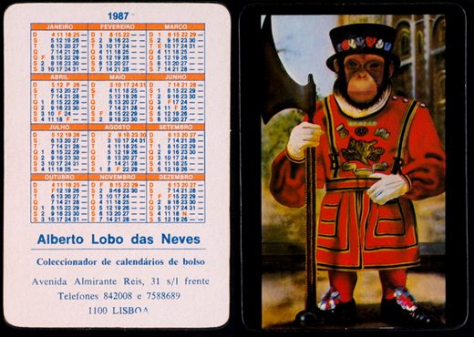 Alberto Lobo das Neves 1987 12