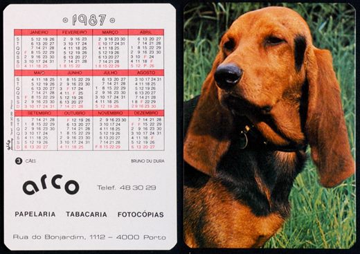 Arco 03 1987
