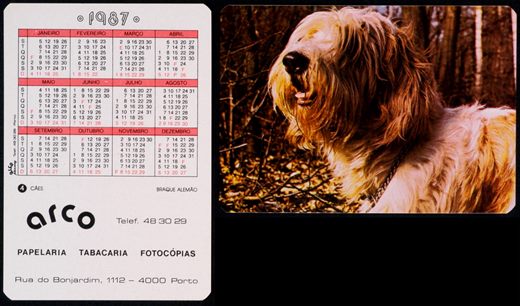Arco 04 1987