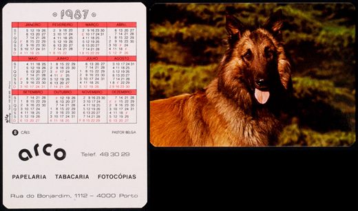 Arco 08 1987