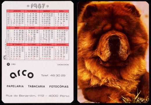 Arco 11 1987