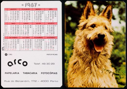 Arco 12 1987