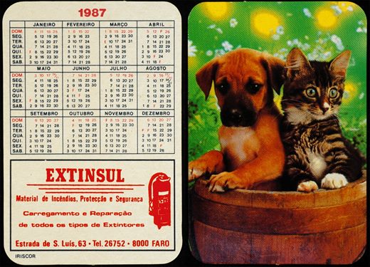 Extinsul 1987