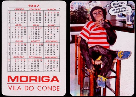 Moriga (macaco) 02 1987