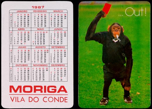 Moriga (macaco) 03 1987