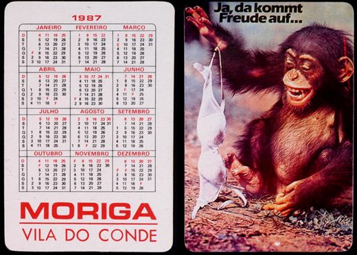 Moriga (macaco) 04 1987