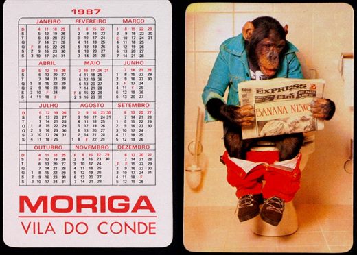 Moriga (macaco) 05 1987