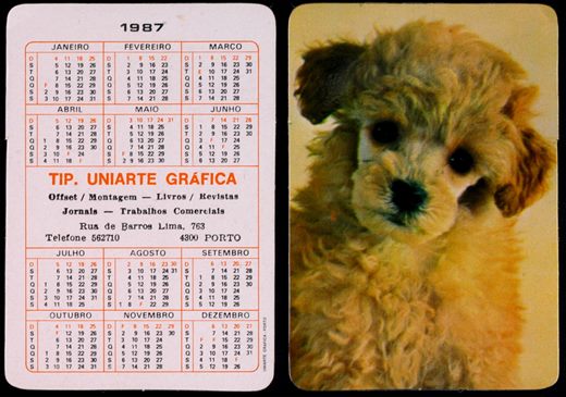Tipografia Uniarte Grafica 05 1987
