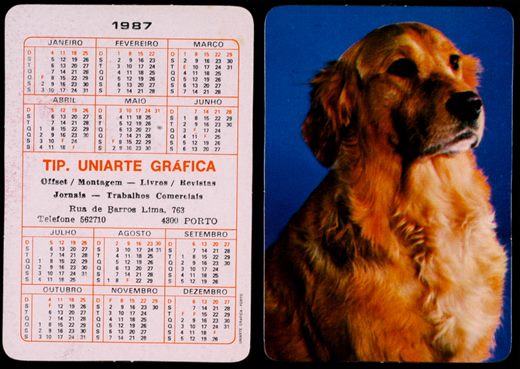 Tipografia Uniarte Grafica 06 1987