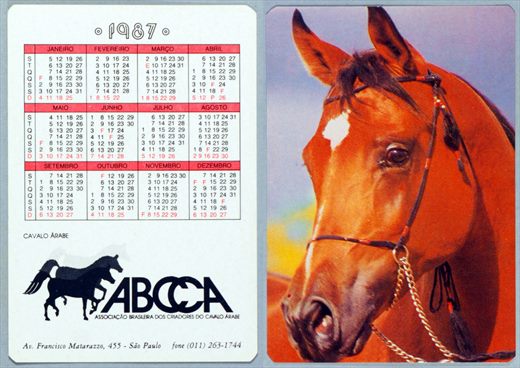 ABCCA - Cavalo Arabe 1987 01