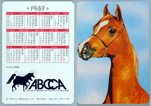 ABCCA - Cavalo Arabe 1987 02